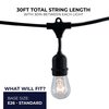 Bulbrite 30 ft. Plug-In Edison Bulb S14 Incandescent Vintage Style Black String Light 12 Sockets- Bulbs 812312